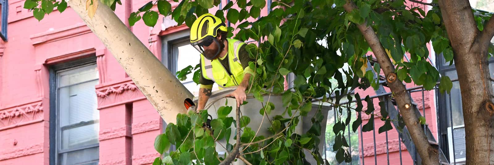 Shade Tree Service Co field operations