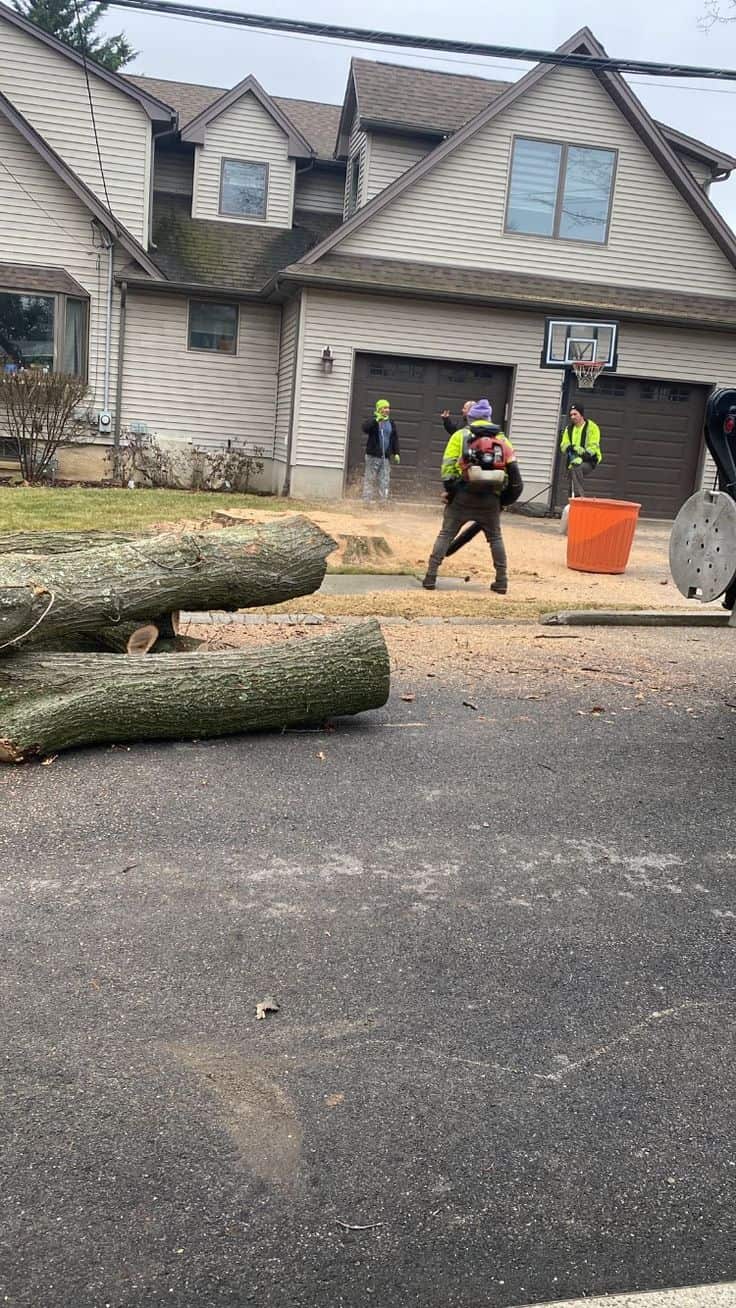Shade Tree Service crew on site