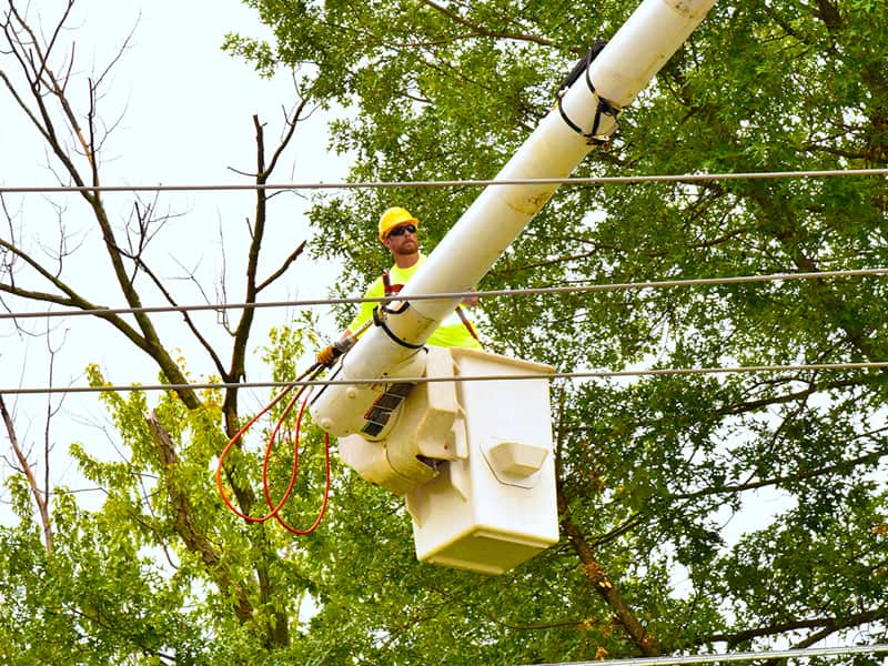 Completed ROW and vegetation management work