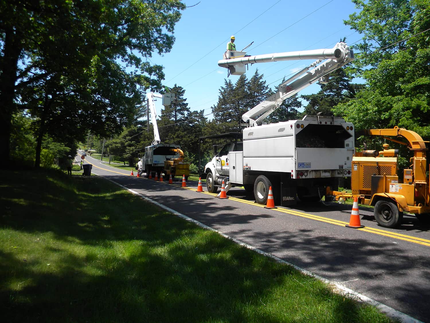 Utility vegetation management services